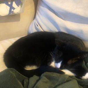 Meet your Posher, Chris